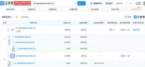 愷英網(wǎng)絡(luò)嘉興布局 投資成立網(wǎng)絡(luò)科技公司，拓展信息技術(shù)咨詢服務(wù)新賽道